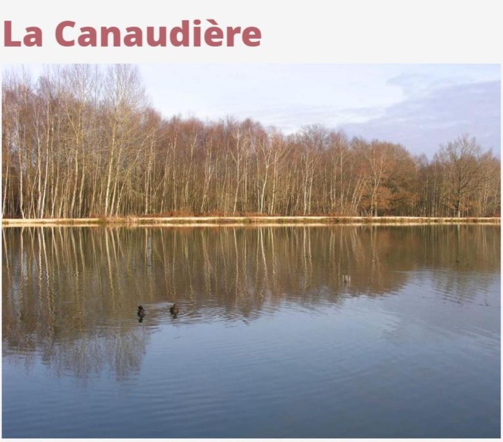 L'oasis Du Desert Homestay Ormes (Loiret)