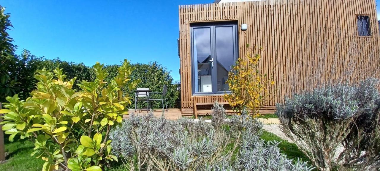 L'oasis Du Desert Homestay *